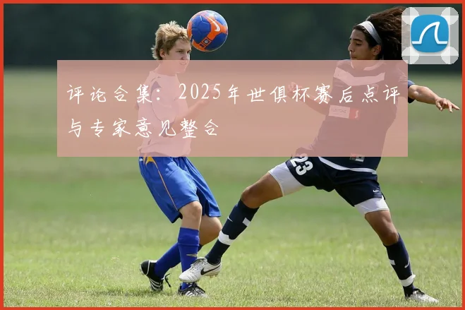 评论合集：2025年世俱杯赛后点评与专家意见整合