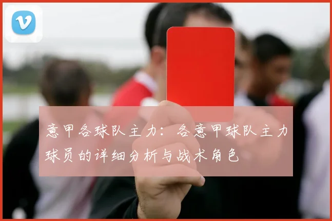 意甲各球队主力：各意甲球队主力球员的详细分析与战术角色