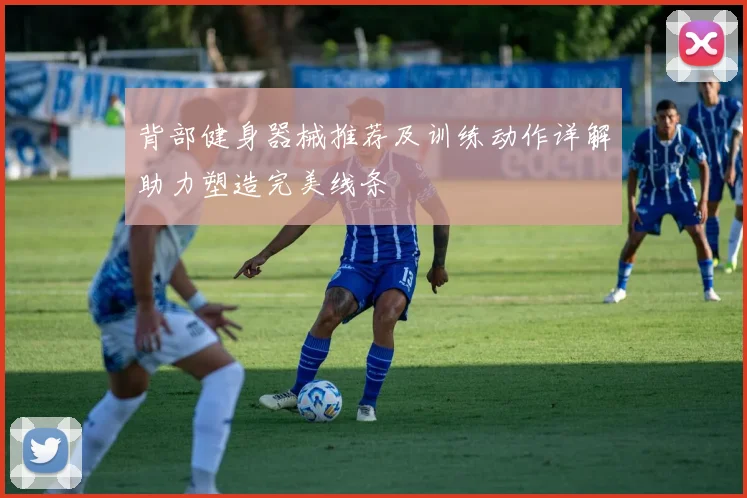 背部健身器械推荐及训练动作详解助力塑造完美线条