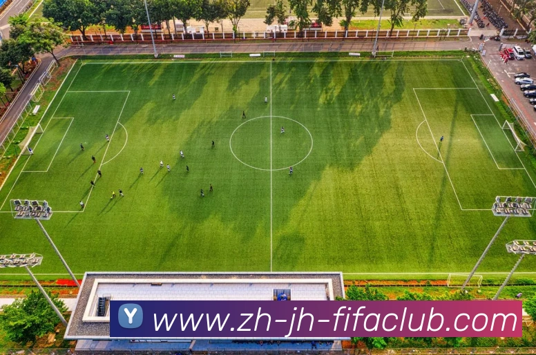 世界杯直播平台生态图